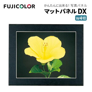 FUJICOLORmtWJ[nz }bgpl DX Ch4 ؐ ubN