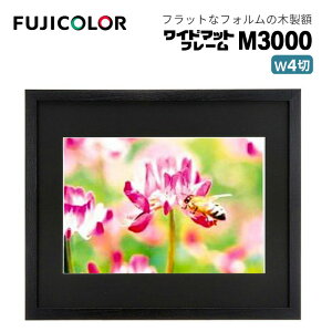 FUJICOLORmtWJ[nz Ch}bgt[ M3000 AN Ch4 ؐ ubN