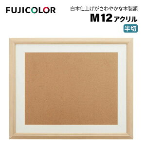FUJICOLORmtWJ[nz M12 AN ؒn  ؐ x[W