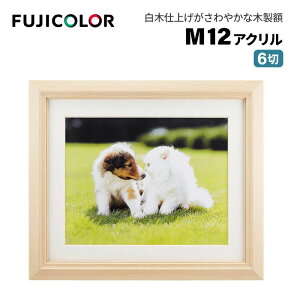 FUJICOLORmtWJ[nz M12 AN ؒn 6 ؐ x[W