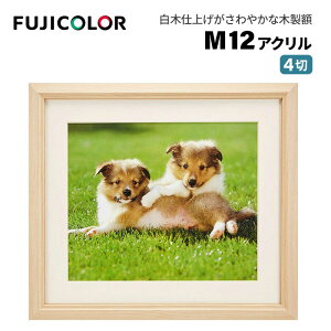 FUJICOLORmtWJ[nz M12 AN ؒn 4 ؐ x[W