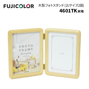 FUJICOLORmtWJ[nؐtHgX^h Type-1