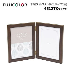 FUJICOLORmtWJ[nؐtHgX^h Type-2