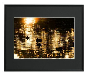 Ch}bgt[ A3mr A3300 tHgt[ z AN ʐ^p 329×483 A3vX A3+ A-3300 ʐ^W W ʐ^W    ubN }bg䎆t 䎆 Ǌ| |X