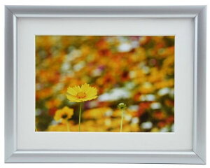 tHgt[ A32 TCY 2L Lrl 2L Ȃ y y  Ǌ| | Vv 127×178 ʐ^ W G CXg  ItBX ڎ X a@ { wZ r[ z[ L 