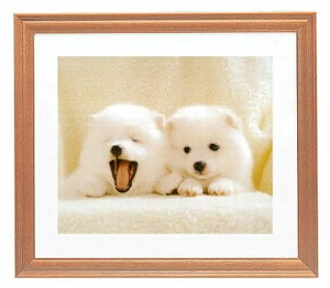 ؐ tHgt[ M13 TCY 2L iLrlj  ˂Ȃ Ȃ KX Ǌ| X^ht  2LTCY 2L ʐ^ tHgX^h rO  q ybg Ƒ LO