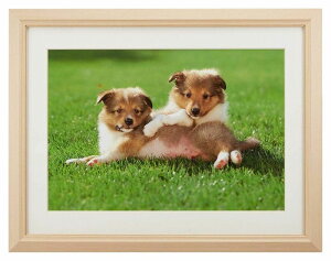 tHgt[ M12 Chl؂ Chl AN y y 傫 Ǌ| ʐ^ q ybg G W ؒn 254×365 ؐz i` Vv 4؂胏Ch Ȃ HX JtF 