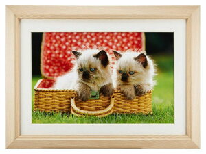 ؐz M12 AN TCY ChZ؂ Ch6 203×305 Ǌ| y y 6؂胏Ch Ȃ tWJ[ xm tHgt[ 傫 i` Vv ܎O l {Q