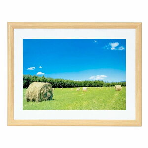 tHgt[ YM-3ؒn AN Chl؂ TCY ؐz 254×365 YM3 y y Vv i` 4؂胏Ch xm tWJ[ 4؃Ch Chl Ȃ Ǌ| 傫 ʐ^