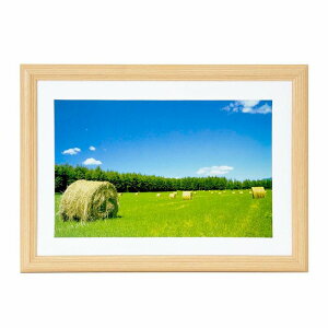 ؐz YM3 AN TCY ChZ؂ Ch6 203×305 䎆t Ǌ| y y YM-3 6؂胏Ch Ȃ tWJ[ tHgt[ i` Ƒʐ^ LOʐ^ i R 