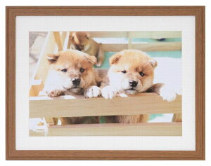 ؐ tHgt[ YM-9 TCY Chl؂ Chl Ȃ y y z  254×366 4؃Ch Ƒʐ^ LOʐ^ ʐ^ i  R R q ybg Ǌ| W 傫 z 