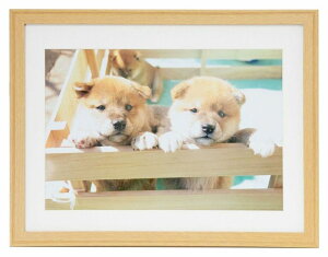 ؐ tHgt[ YM-9 TCY Chl؂ Chl Ȃ y y z  254×366 4؃Ch Ƒʐ^ LOʐ^ ʐ^ i  R R q ybg Ǌ| W 傫 z 