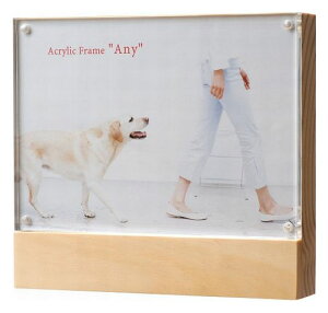 ʐ^ 2L AN AE-2L AnyiGj[j tHgt[ 2L 2LTCY  j v[g l炵 CeA Vv RpNg ̓ ސE ] ]E ] LOi j S 