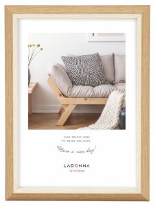 tHgt[ 2L SF14-2L-GR/NT/NV/PK hi ʐ^ 2L 2LTCY Vv tHgX^h  킢 v[g  l ސE ] ] ]E LOi ̑i ii ̓ 