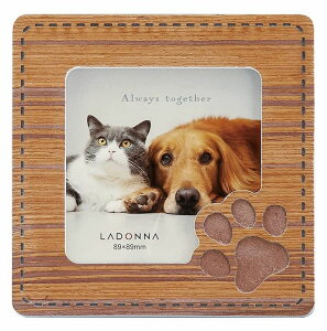 tHgt[ ~jTCY PET23-SQ-NT/BR ʐ^ ܂ ` ^lp 89×89 킢   L ˂    L v[g tHgX^h  ybg ʐ^  y