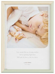 tHgt[ 2L SF23-2L-PK/GR hi ʐ^  Vv sN O[ 2LTCY 傫 pXe q xr[ oYj ܎O {Q ybg rO CeA v[g 