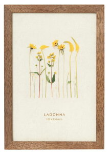 tHgt[ nKLTCY ( L ) DF53-P-BR ؐ hi ʐ^  Vv i` |XgJ[h Ǌ|  z KGTCY טg X c  LTCY VR k G