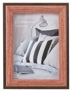 tHgt[ ~jTCY DF85-S2-IV/NV/DBR ʐ^  J[h X^h  킢 Vv j v[g i` Ǌ|   hi Ln[t ؐ JtF 