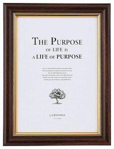 tHgt[ 2L SF08-2L-DBR Vv ʐ^ tHgX^h ii hi  Ǌ| 2LTCY CXg A[g z LOi rO  Q CeA ̑i jp җ Ê 