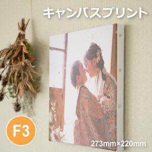 CY~_CV LoXvg F3TCYi273mm×220mmj I[_[i   ʐ^ tHgpl A[g t@ubNpl CeA v[g xr[ qǂ EFfBO j