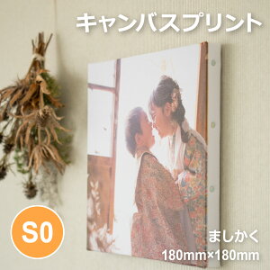 CY~_CV LoXvg S0TCYi180mm×180mmj ܂ I[_[i   ʐ^ tHgpl A[g t@ubNpl CeA v[g xr[ qǂ EFfB