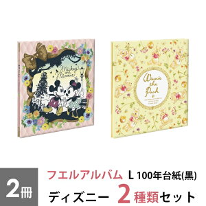 ナカバヤシ フエルアルバム L 100年台紙(黒) ディズニー2冊セット ミッキー&ミニー くまのプーさん ビス式製本 台紙10枚 タイトルカード付 貼り付け式 フリー台紙 黒台紙 手作りアルバム