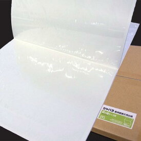 ピジョン ジャバラ画用紙展示用台紙 8つ切 50コマ 1ケース ホワイト タイトルカード用ポケット付き 学校 教室 展示会 作品展 イベント コンクール 美術館 掲示物 作品 絵画 展示 保管 蛇腹 八切 業務用