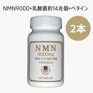 NMN 9000mg / 2�{ ���_�� �x�^�C�� �t�@�C�g�P�~�J�� �����t���[�� ���N�͒����� ��NMN GMP�F��H�� �������� �~�g�R���h���A �t�@�C�g�P�~�J�����{ LIFESPAN ��Ԃ萬�� �V���Ȃ����E