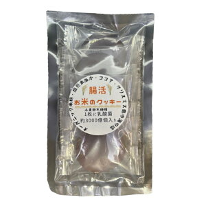 t@CgP~JE{ ĕNbL[  ĕ Ăʂ _ 5 F{YR͔| {茧Yĕ sӂ邳Ɣ[ EC-12 NX}X̊C̉ H