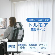 【限定2500円オフクーポン】防音レースカーテン 防音カーテン トルモア 幅100cm 遮音カーテン 防音 防音…