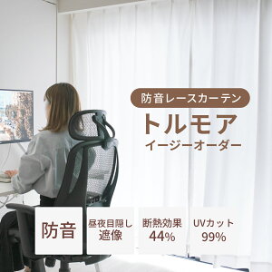 防音レースカーテン トルモアイージーオーダー 幅40-290cm 丈40-300cm 防音カーテン 遮音カーテン騒音対策 カーテン ミラー おしゃれ 見えにくい 遮像 UVカット 花粉 防塵 PM2.5 プライバシー 窓 出