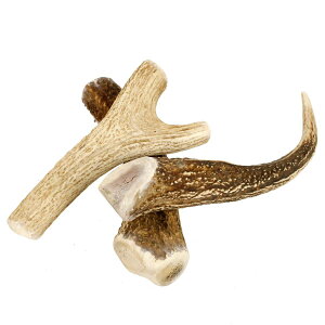 y^pz  ̊p p ڈΎ  kCY p K G] Y ڈΎ f^PA L\h hbOt[h