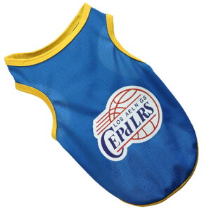 ̕  bVn NBA oXP`[ ^Ngbv z