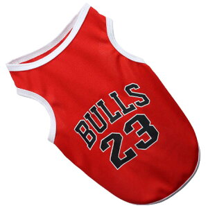 ̕  bVn NBA oXP`[ ^Ngbv z