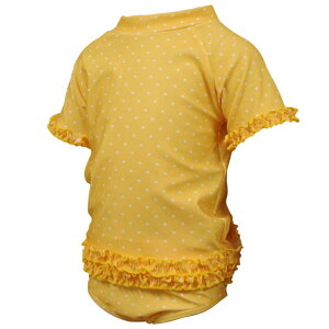 K[Y LbY [WHOLE SWIM]UV]bVX[cEXCEGAEEbVK[hEn[ghbgE̎qEEqǂEq