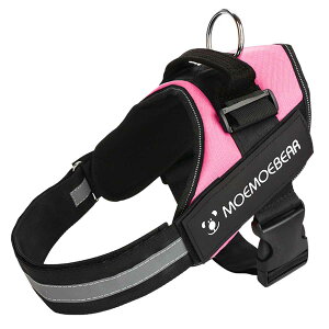 n[lX ^ ^  p[n[lX `FXgXgbv  [h  U