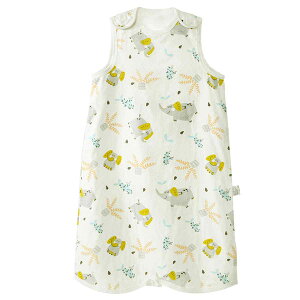 X[p[ K[[ LbY xr[ pW} Rbg  Ԃ oYj Mtg K[[X[p[ p[X S13fUC