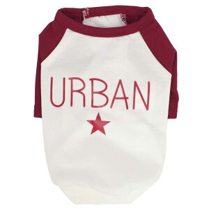 ̕  Jbg\[ ėp ^p t H  XEFbg 킢  hbOEFA  L ybg