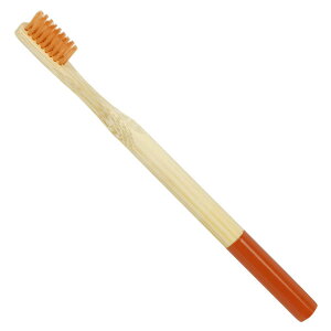 | uV Rf uV 킢  lp nuV ɗD | v[g Mtg ɂ