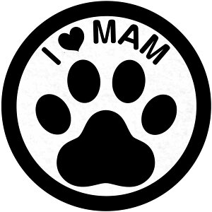    hイby 5Zbg ACM hJ hJT[rX hイ   Ck ɂイ Mtg v`Mtg v[g mxeB j a oYj 