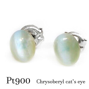 pt900 N\xLbcAC Lڐ Ў sAX O[ ~g lR  v`i Y fB[X fr[ 2a  I[u  Vv  v` Mtg J v[