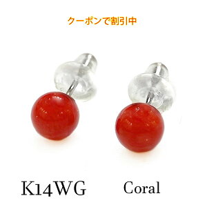 yV쁙z k14wg bhR[ sAX ԎX 14zCg S[h 5~ TS Vv ꗱ ЂƗ  Ԃ v` v[g Mtg fB[X  LO 3a o[Xf[ 