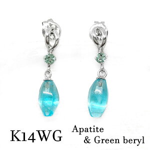 k14wg sAX Ap^Cg O[ x 14 zCgS[h X^bh  }u[ lI  VR   C   hbv v[g bsO Mtg j LO a 