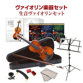 【生音ヴァイオリン楽器セット】初心者向けヴァイオリンレッスンDVD＆テキスト 1〜3弾＋楽器セット【送料無料05_45】