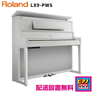 zݒuz[h dqsAm fW^sAm LX9PWS@hʉohdグ@Ꭹ݃CXEwbhztit