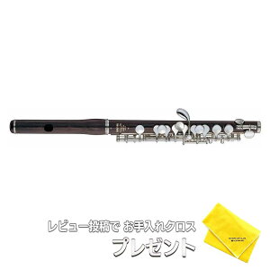 ピッコロ YAMAHA YPC-62の人気商品・通販・価格比較 - 価格.com