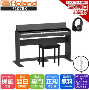 yӍՁɍő+5{zyŋzz[h Roland F107 BK dqsAm
