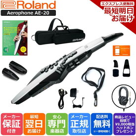 【スーパーセール☆】【約￥9,000相当ヘッドホンプレゼント】Roland ローランド Digital Wind Instrument デジタル管楽器 専用キャリングバッグ付き Aerophone エアロフォン AE-20【すぐに使えるフルオプションセット】