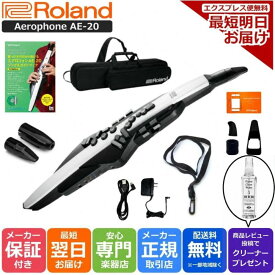 【すぐに使えるフルオプションセット】Roland ローランド Digital Wind Instrument デジタル管楽器 専用キャリングバッグ付き Aerophone エアロフォン AE-20【レビュー投稿でクリーナープレゼント☆】