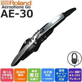 【スーパーセール☆】【約￥9,000相当ヘッドホンプレゼント】Roland ローランド Digital Wind Instrument デジタル管楽器 専用キャリングバッグ付き Aerophone Pro エアロフォン プロ AE-30